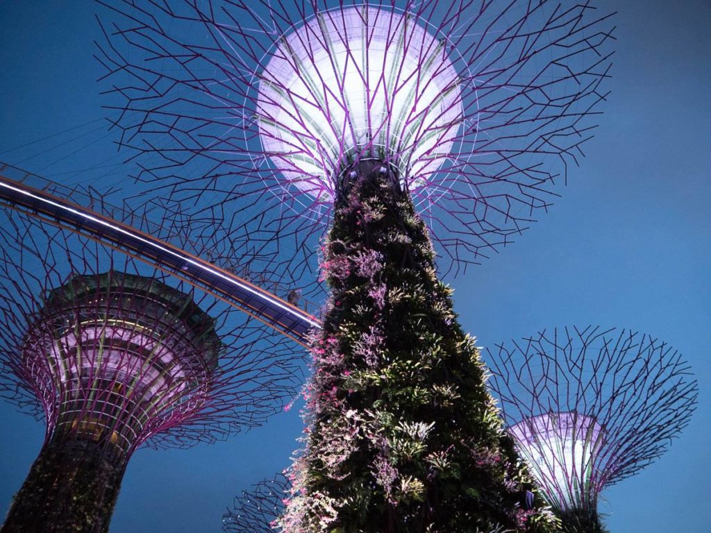 Supertree Grove in Singapore's Marina Bay